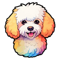 Colorful Bichon Frise Dog, Bichon Frise Portrait, Dog Sticker Clip art, Dog Lover design, . png