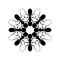 Colony of the Ant Silhouette Circle Shape Composition for Art Illustration, Logo, Pictogram, Website, or Graphic Design Element. Vector Illustration