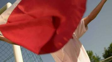 nacional bandera de Polonia en manos de polaco Deportes ventilador en lento movimiento video