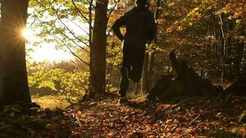 szenisch Sonnenuntergang und das Männer Laufen im ein Wald. schleppend Bewegung Aufnahmen video