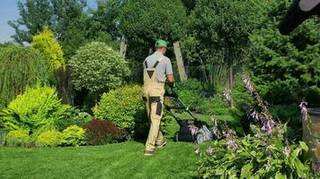 Seasonal Lawn Care And Maintenance. video