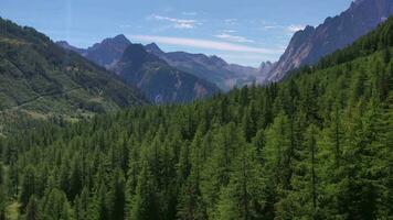 Ferret Valley and Mont Blanc Massif Scenic Summer Aerial Vista video