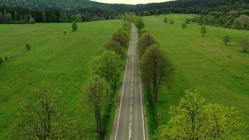 aéreo ver de rural la carretera con colinas arboles y campo de verde césped en verano. video