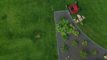 Garden Worker Trimming Lawn Edges. video