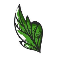 Illustration of leaf in green color. vector