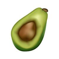 3D render illustration of avocado fruit. vector