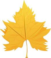 Orange maple leaf element. vector