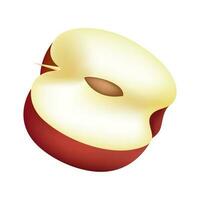 Realistic apple slice on white background. vector