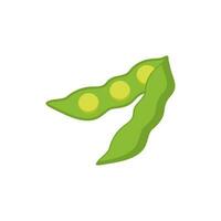 soybean flat design vector illustration. opened shell pea vector illustration. vegetarian and vegan icon