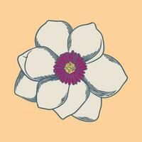 Hand drawn flower botanical drawing of magnolia on bright background. vector