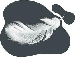 Isolated realistic feather white  on background. vector