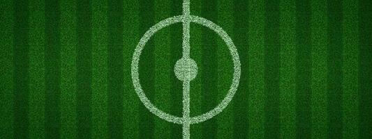 Top view of realistic soccer pitch center vector