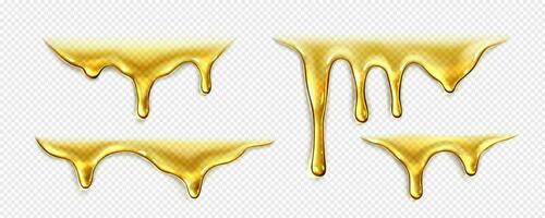 Dripping liquid honey, gold oil or syrup drops vector