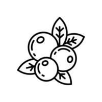 Berries icon in vector. Illustration vector