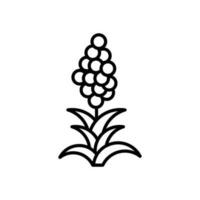 Quinoa icon in vector. Illustration vector