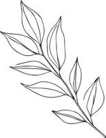 Botanical artwork decor, vector set of botanical leaf simple outline sketch doodle hand drawn illustration, botanical drawings of flowers, botanical drawings of wildflowers, botanical drawings.