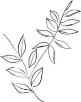 Botanical vector illustration coloring page, simplicity, Embellishment, monochrome, vector art, Outline print with botanica leaf of branch, botanical leaves, and buds, minimalis botanical tattoo.