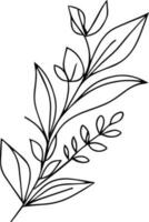 Set of vector hand-drawn botanical leaf, botanical line drawing,  wildflower botanical line art, leaf's vector art, Pencil realistic wild flower drawing, ink sketch isolated on white background,