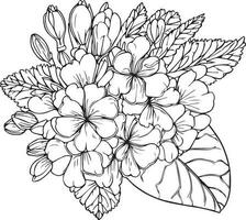 Beautiful primrose flower bouquet with leaves line art plant branch vector botanical illustration coloring books and page for children and adults, vintage primrose drawing, outline primrose flower art