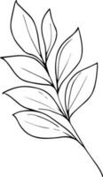 Set of vector hand-drawn botanical leaf, botanical line drawing,  wildflower botanical line art, leaf's vector art, Pencil realistic wild flower drawing, ink sketch isolated on white background,