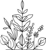 Botanical artwork decor, vector set of botanical leaf simple outline sketch doodle hand drawn illustration, botanical drawings of flowers, botanical drawings of wildflowers, botanical drawings.