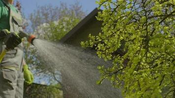 tuinman gieter planten in achtertuin tuin. langzaam beweging beeldmateriaal video