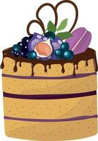 Cake. Biscuit with berry cream and chocolate topping with fruits and berries. High quality vector illustration.