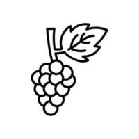 Grapes icon in vector. Illustration vector