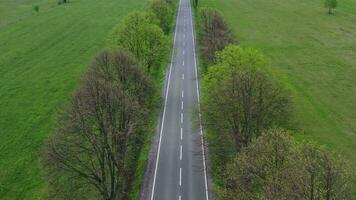 Aerial View of Straight Countryside Road with Lines of Trees video