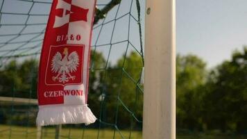 caucasico polacco calcio fan agitando il suo nazionale calcio squadra sciarpa video