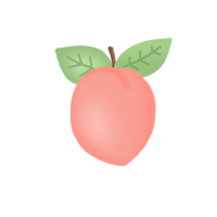 pêssego, fruta, comida, rosa, benefícios, nutrientes, ícone, logotipo png