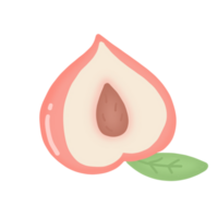 pêssego, fruta, comida, rosa, benefícios, nutrientes, ícone, logotipo png