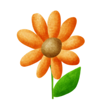 flower, sunflower, crayon,plant,yellow,nature png
