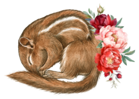 scoiattolo acquerello animale natura adorabile animale png