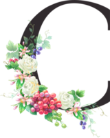 alfabeto y números uva Fruta acuarela, Boda flor letra png