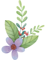 blomma vattenfärg ClipArt png