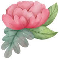 flor acuarela clipart png