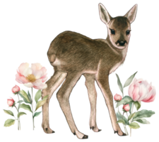 bébé cerf aquarelle animal faune adorable animal png