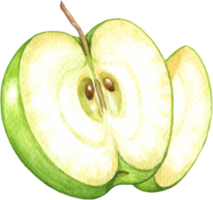 grön äpple frukt vattenfärg element png