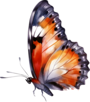 ancien papillon aquarelle png