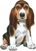 Dog lover watercolor adorable animal png