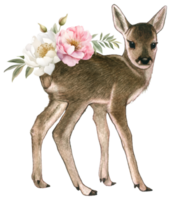 bébé cerf aquarelle animal faune adorable animal png