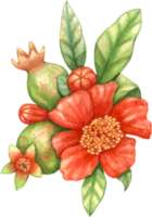 Granatapfel Obst Aquarell Element png