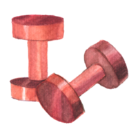 Dumbbell fitness watercolor png