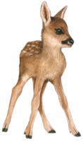 bambino cervo acquerello animale natura adorabile animale png