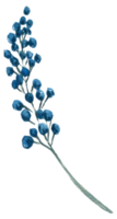 wilde bloemen geel wit bloem waterverf element png