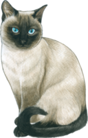 Cat lover watercolor adorable animal png