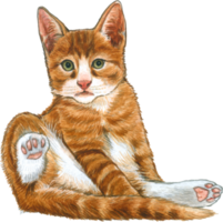 gatto amante acquerello adorabile animale png