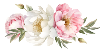 Vintage peony Flower watercolor element png