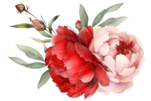 Vintage peony Flower watercolor element png